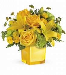 Teleflora's Sunny Mood Bouquet from Victor Mathis Florist in Louisville, KY